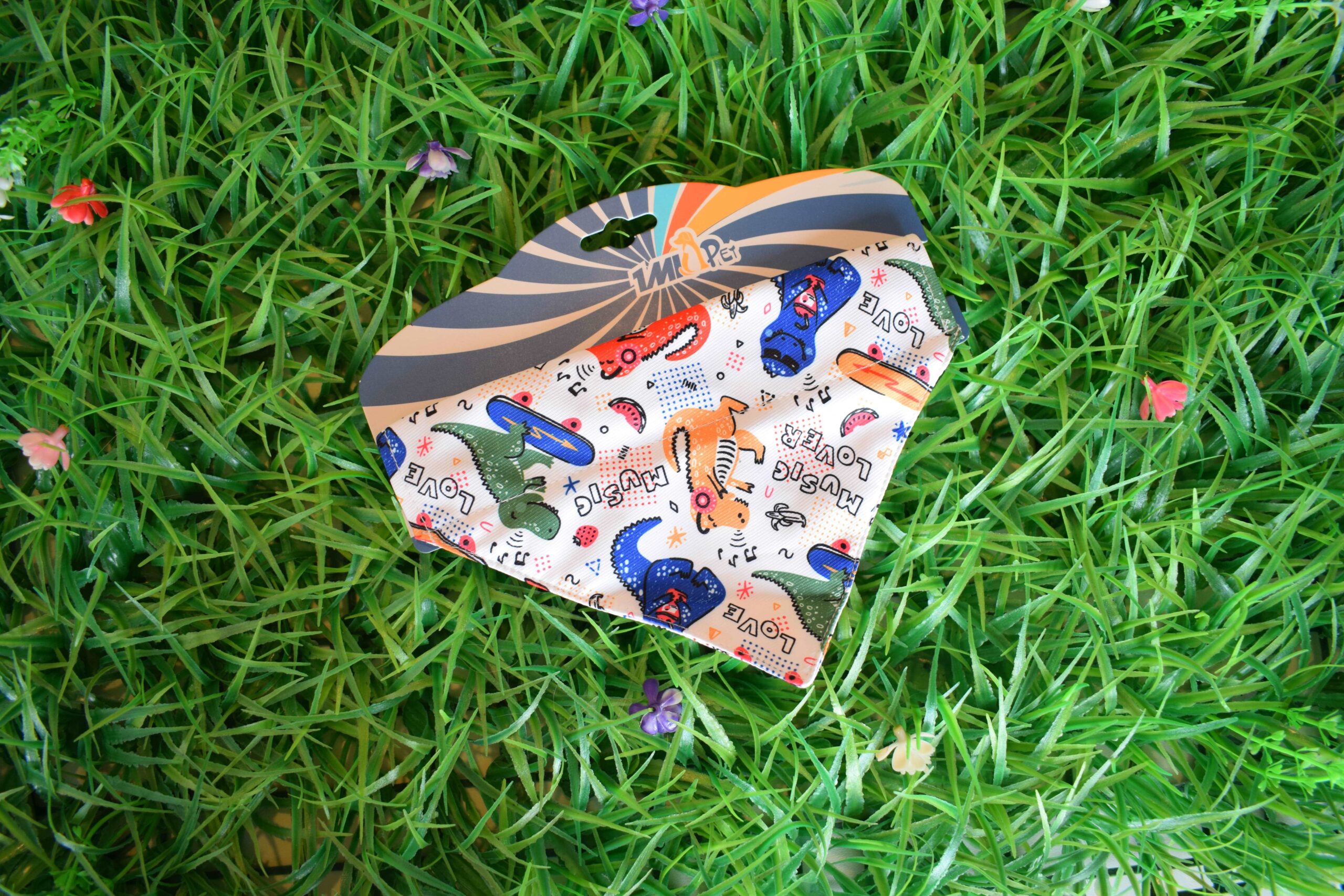 DSC_1214.jpgreducida