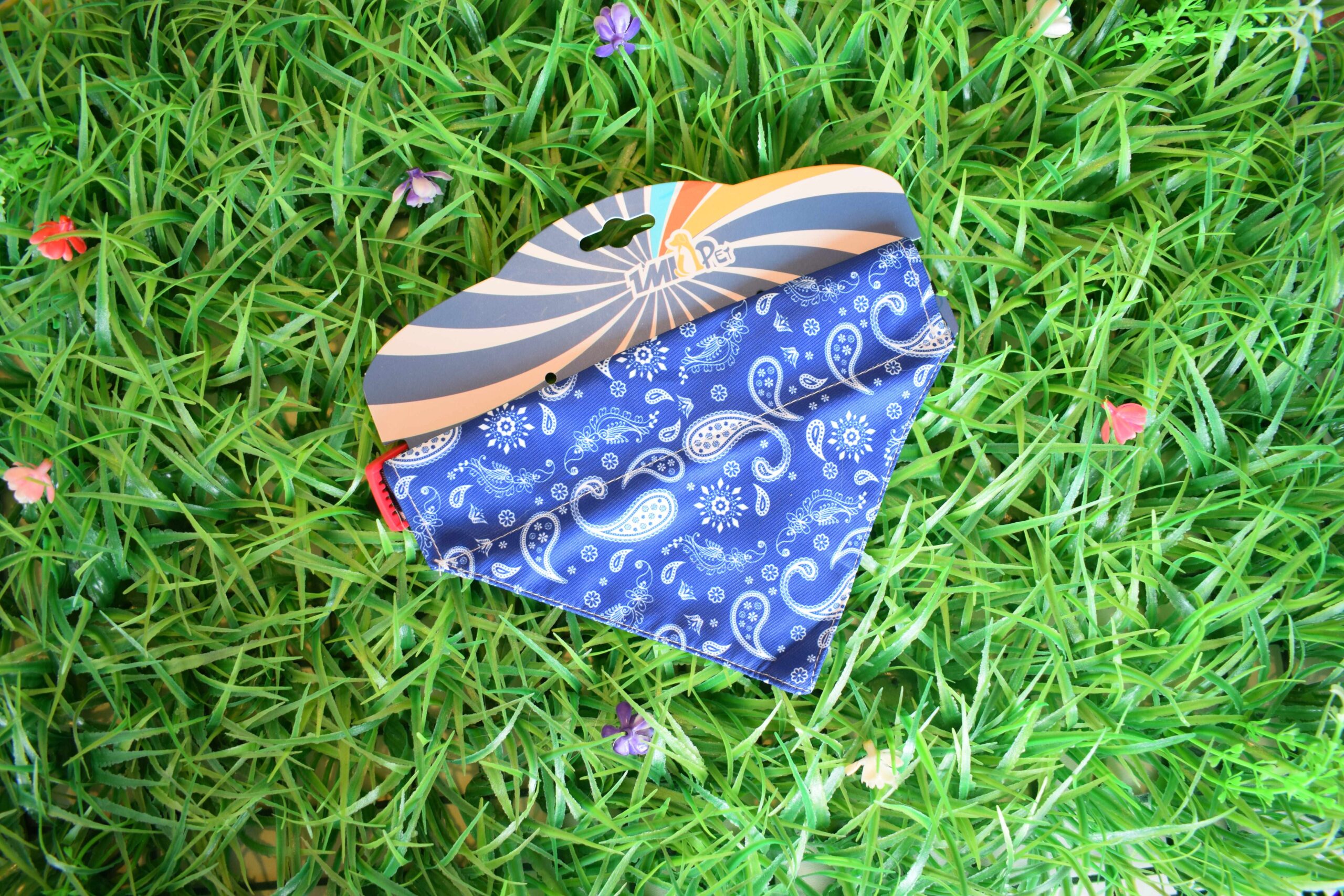 DSC_1216.jpgreducida