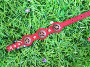 Collar Tacha Con Estrella