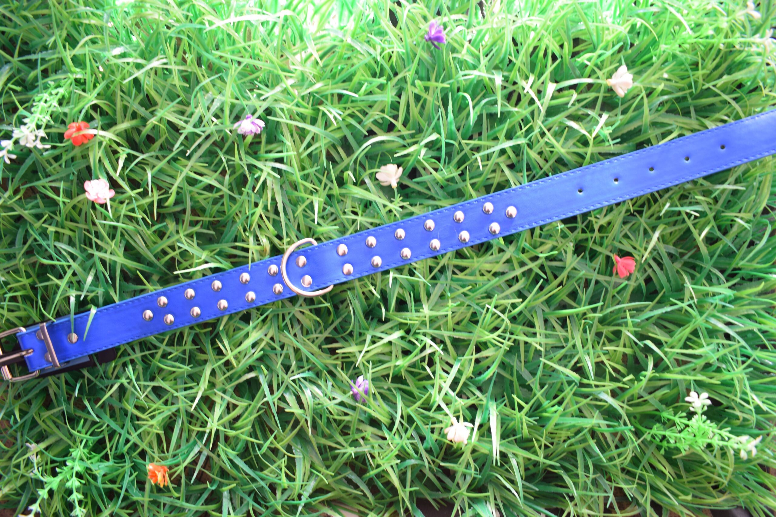 DSC_1194.jpgreducida