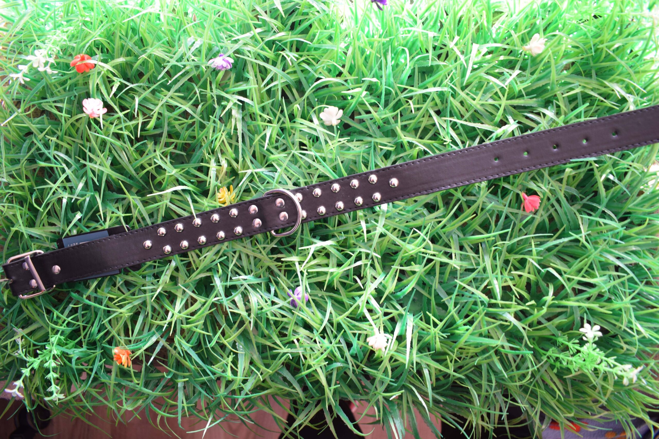 DSC_1196.jpgreducida