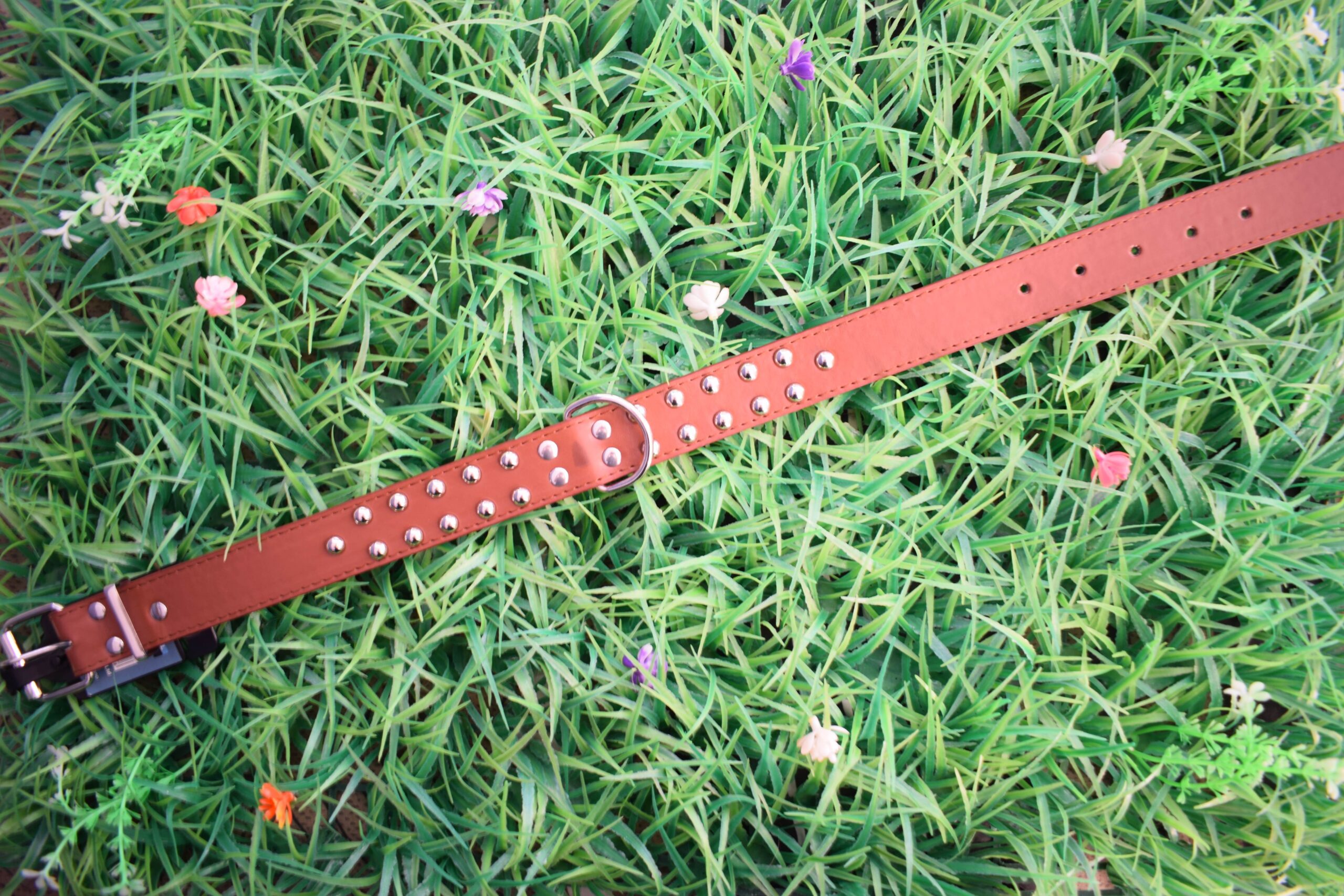 DSC_1199.jpgreducida